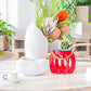 Outdoor Solar Light H006 (Red)