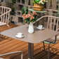 Rays Dining Chair